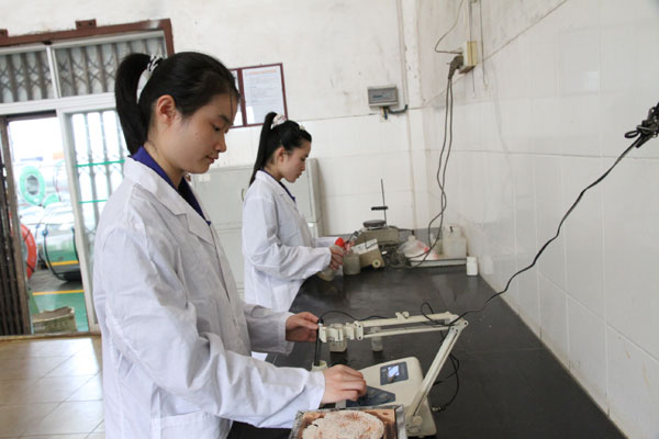 Testing Equipment